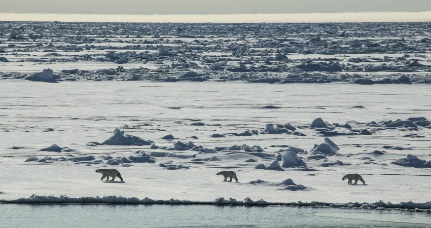 The Arctic Circle: Polar portal to the Arctic