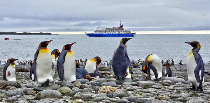 Expedition ship and king penguins in the Falklands