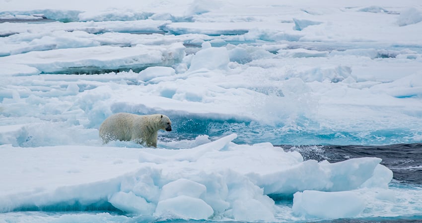 “Into the Ice” | Poseidon Expeditions Blog