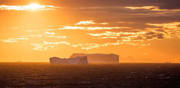 Icebergs in Antarctic expedition cruise