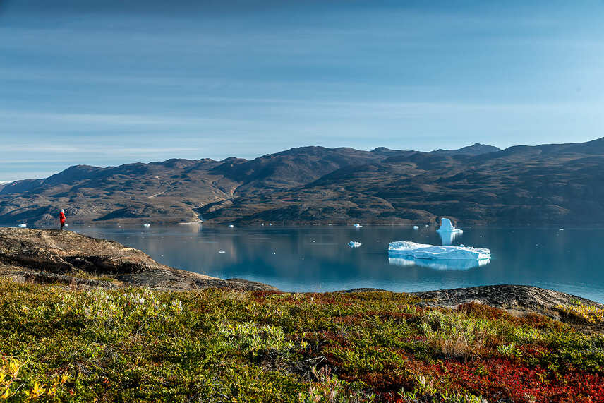 Best Time to Visit the Polar Regions