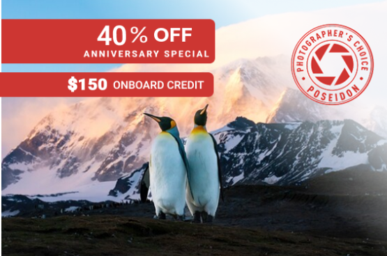 Best of the Southern Ocean 