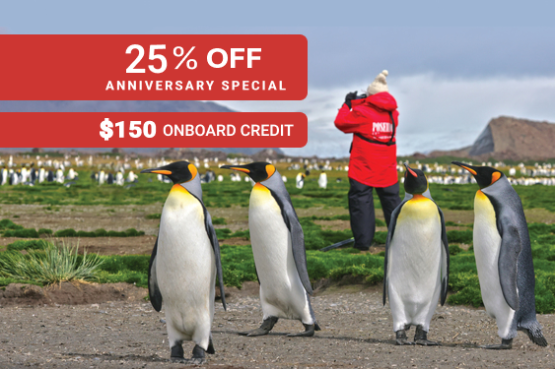Antarctic Wildlife Adventure
