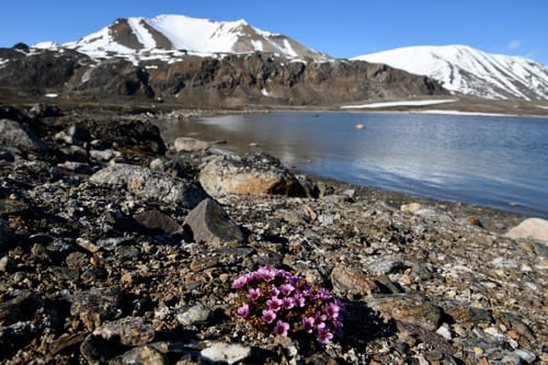 Arctic: studies report Svalbard becoming warmer
