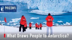 Antarctica: What Draws People to This Frozen Realm?
