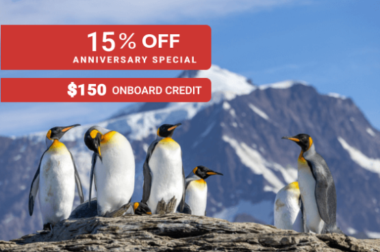 Antarctic Wildlife Adventure