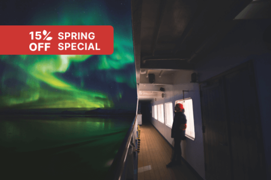 Arctic Sights and Northern Lights