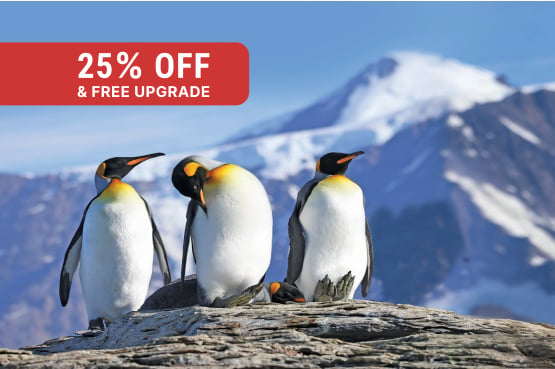 Best of the Southern Ocean 