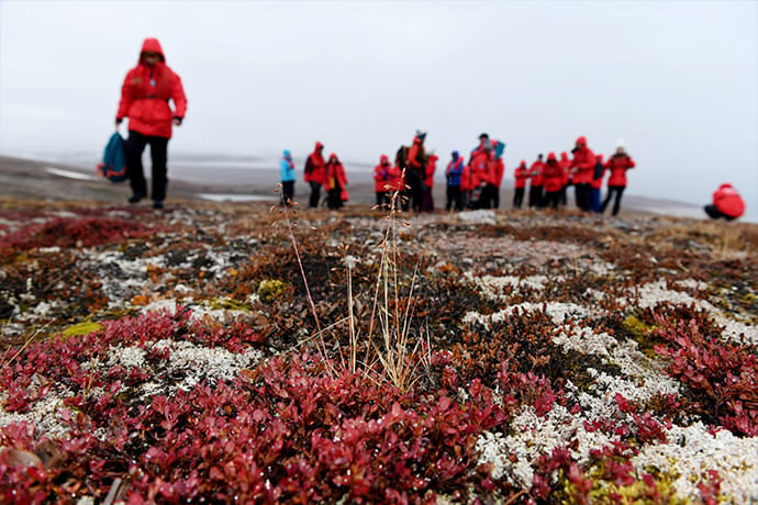 Hiking in Arctic wilderness
