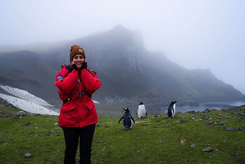 Plants in Antarctica