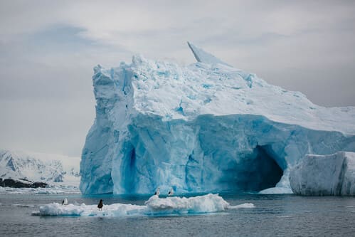 Glaciers vs. Icebergs