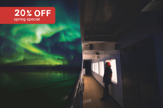 Arctic Sights and Northern Lights