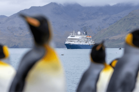 Antarctic Wildlife Adventure