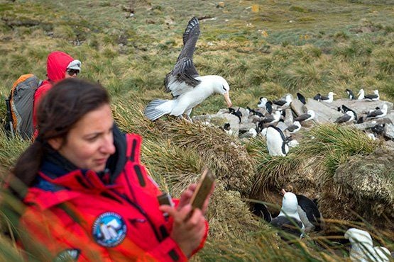 Falkland Islands