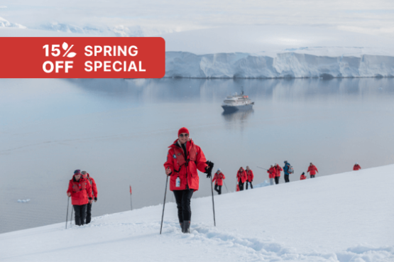 Realm of Penguins & Icebergs