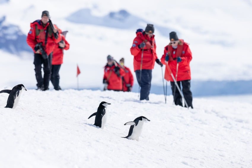 Live broadcast: Antarctica Cruise (13.02-24.02.2015). Day 4