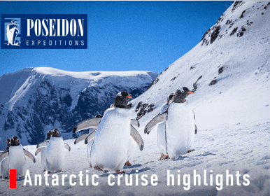 Antarctic cruise highlights