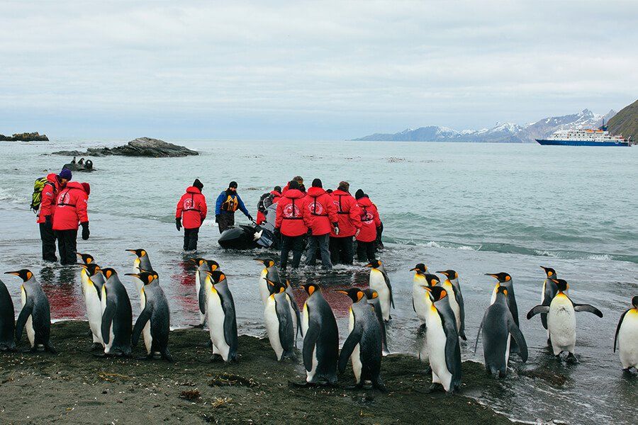 Disembarkation on South Georgia