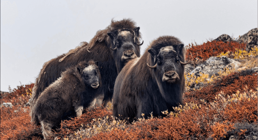 World’s Largest National Park