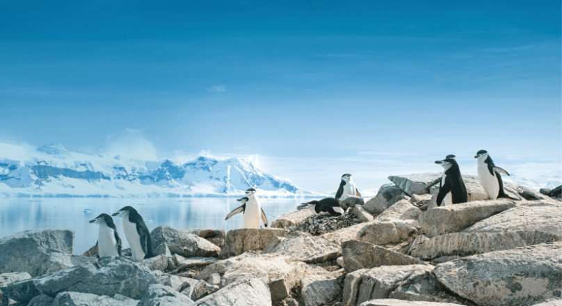 Poseidon Expeditions Book Club: Scott’s Fatal Antarctic Expedition
