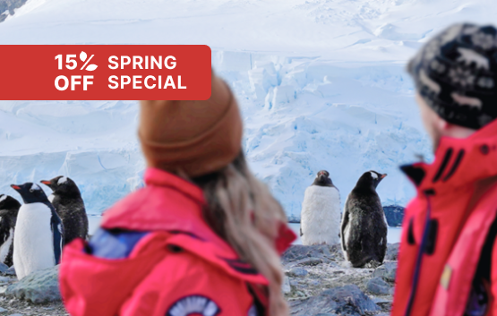 Realm of Penguins & Icebergs