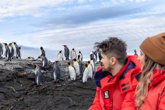 Antarctic Wildlife Adventure