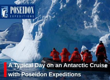 What a day in Antarctica really looks like?
