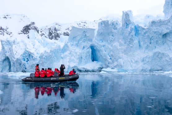 Realm of Penguins & Icebergs