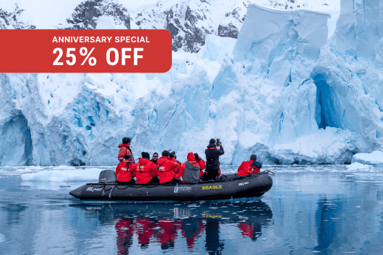 Realm of Penguins & Icebergs