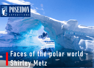 Faces of the Polar World - Shirley Metz