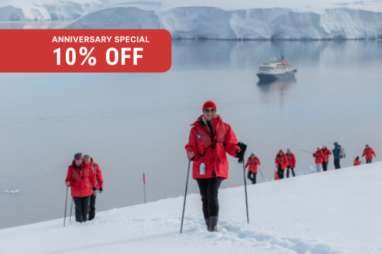 Realm of Penguins & Icebergs