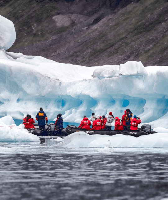 Icebergs, Fjords, Polar bears and Arctic wildlife