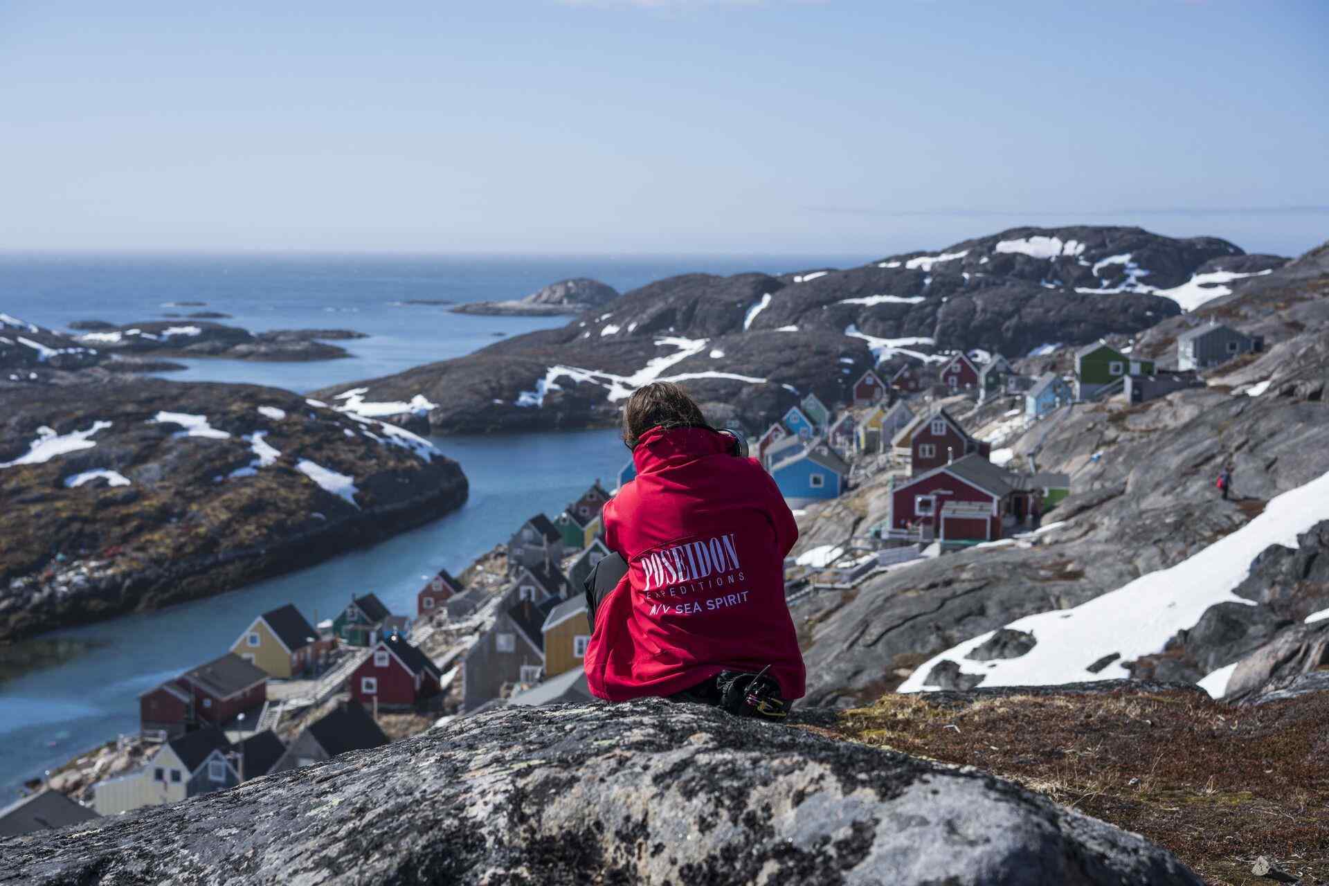 Animals of Greenland: Arctic Wildlife Encounters