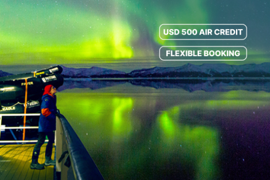 Arctic Sights and Northern Lights