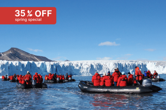 In-Depth Exploration in the Land of the Polar Bear
