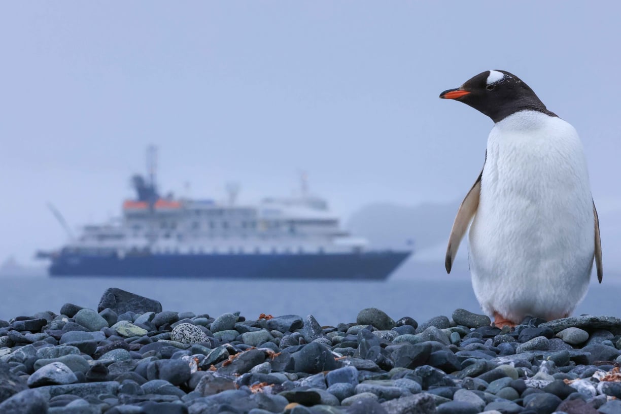 Famous Antarctic and Arctic Explorers of Polar Expeditions