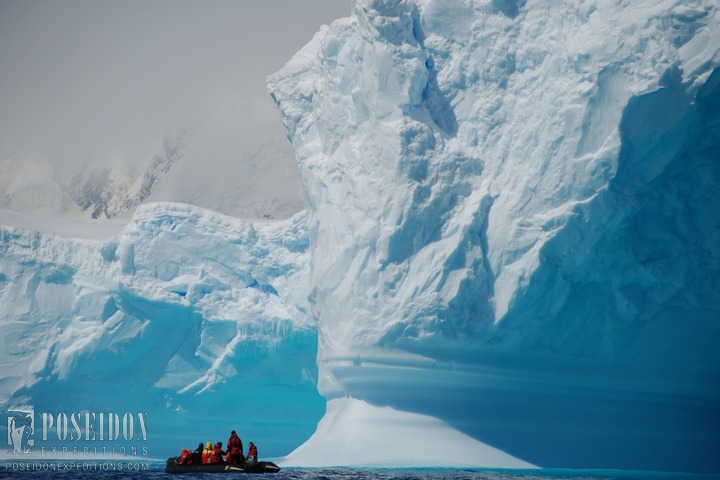 Live broadcast: Cruise to Antarctica (13.02-24.02.2015). Day 6-8