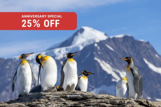 Antarctic Wildlife Adventure