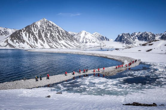 In-Depth Exploration in the Land of the Polar Bear