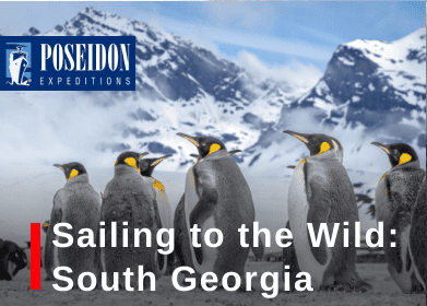 Sailing to the Wild: South Georgia with Poseidon Expeditions