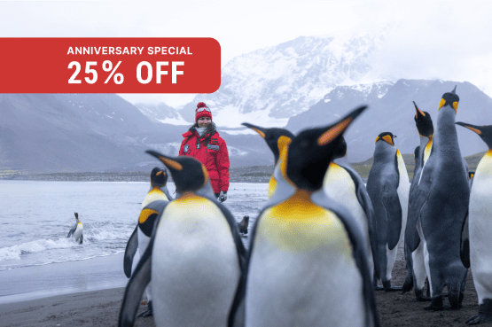 Best of the Southern Ocean 