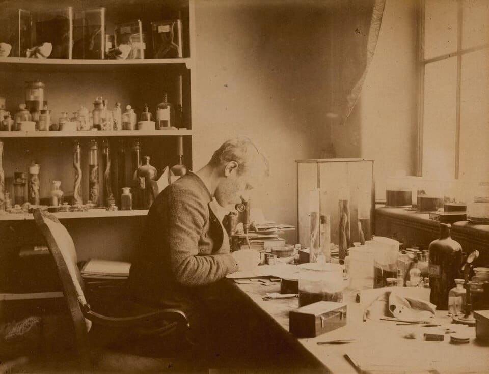 Fridtjof Nansen: Arctic Explorer, Scientist, and Nobel Peace Prize Humanitarian