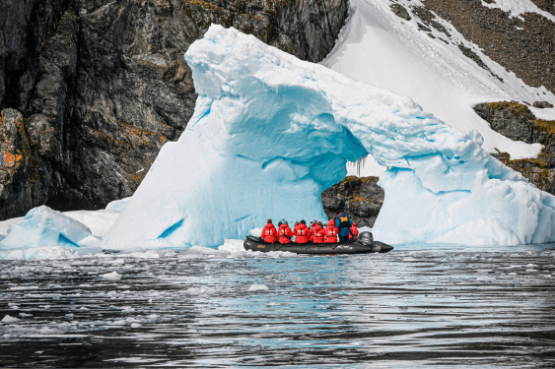 Realm of Penguins & Icebergs