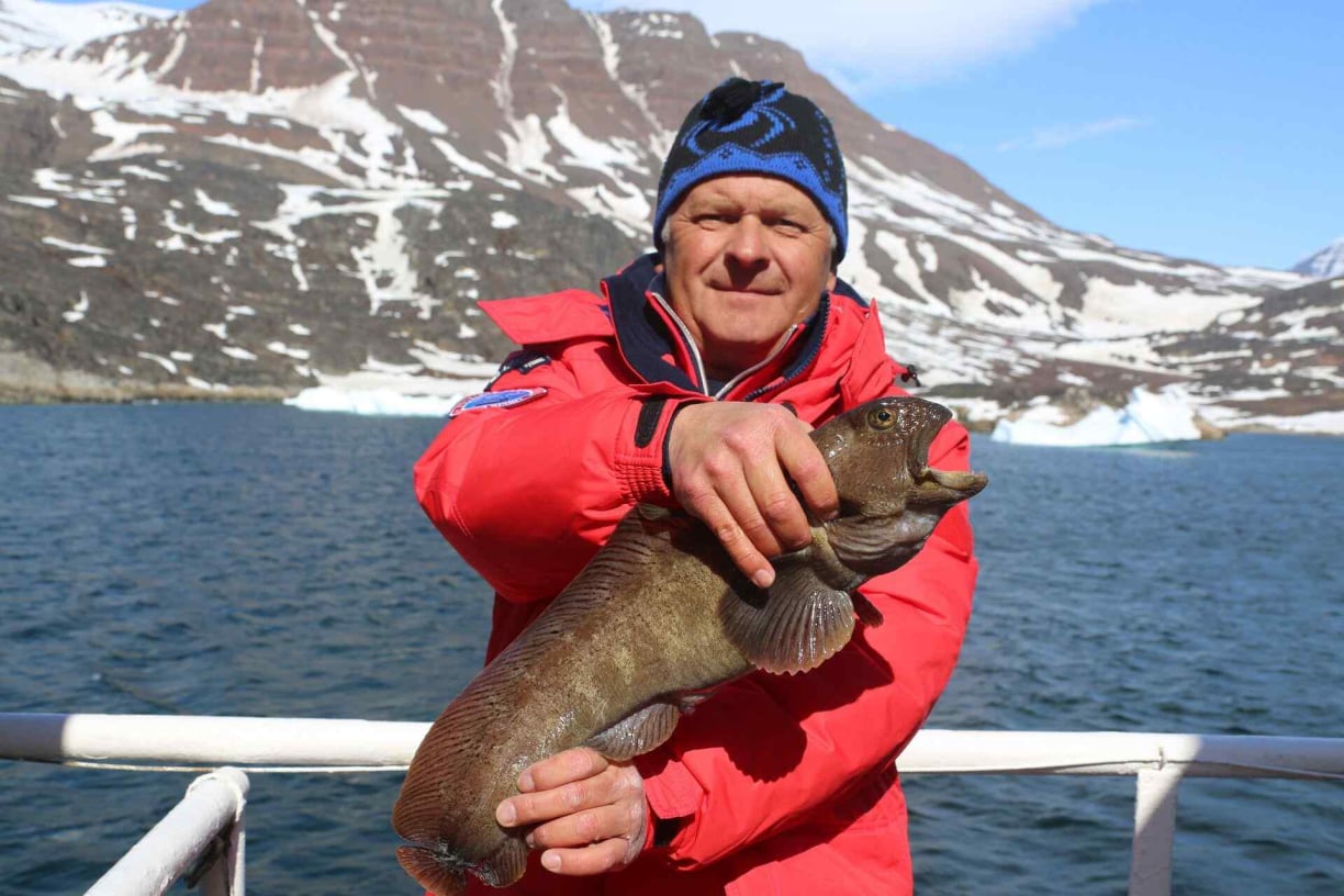 Greenland animals (4).jpg