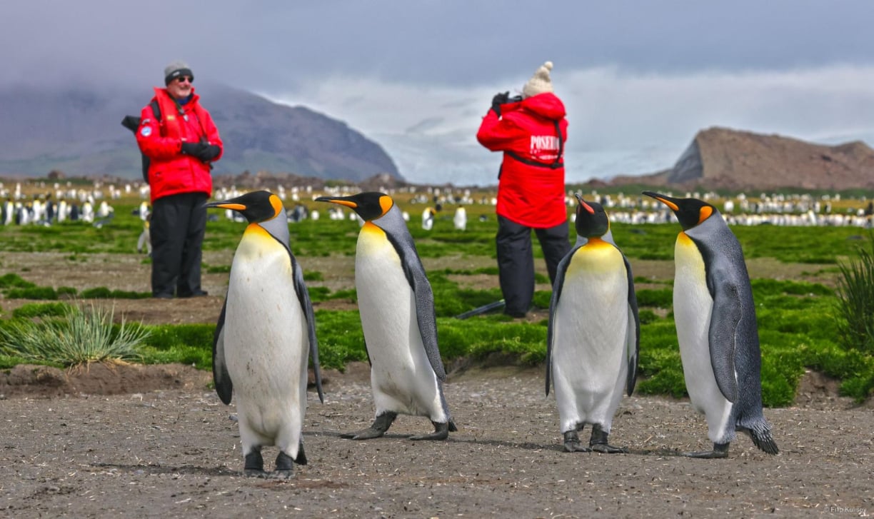 South Georgia Antarctica 