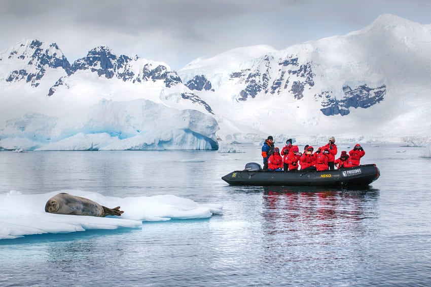 Zodiac Cruising — An Adventure Like No Other