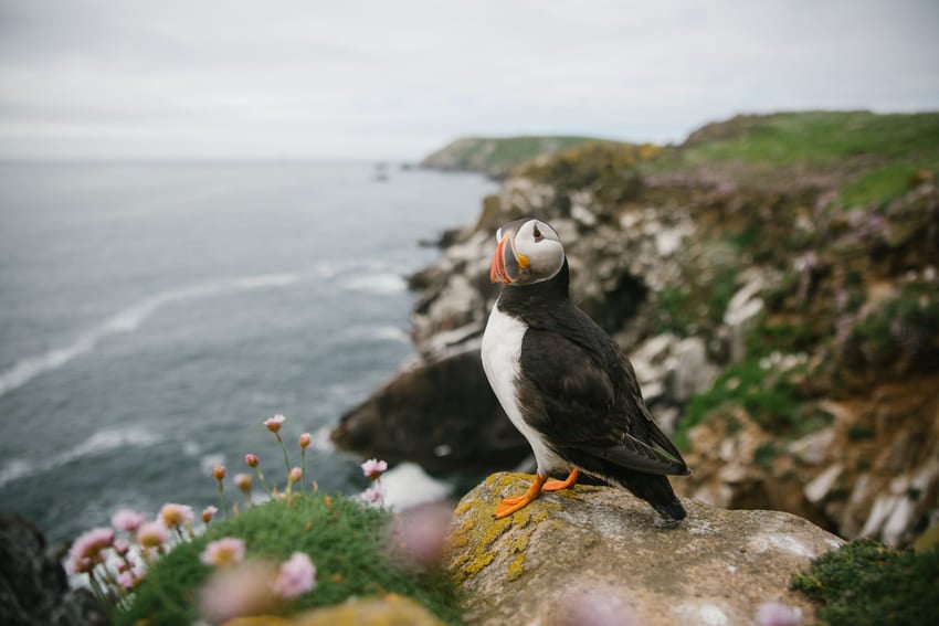 WHERE NATURE AND HERITAGE UNITE