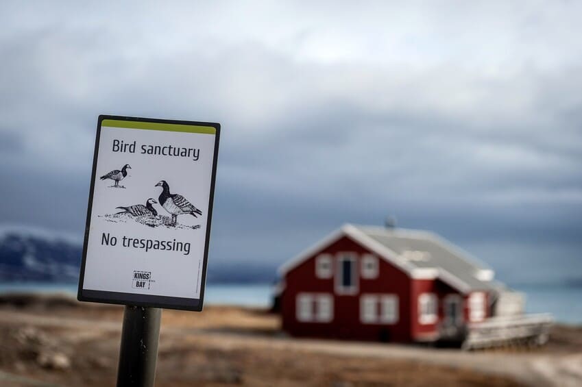 Interesting Facts about Longyearbyen Interesting Facts about Longyearbyen