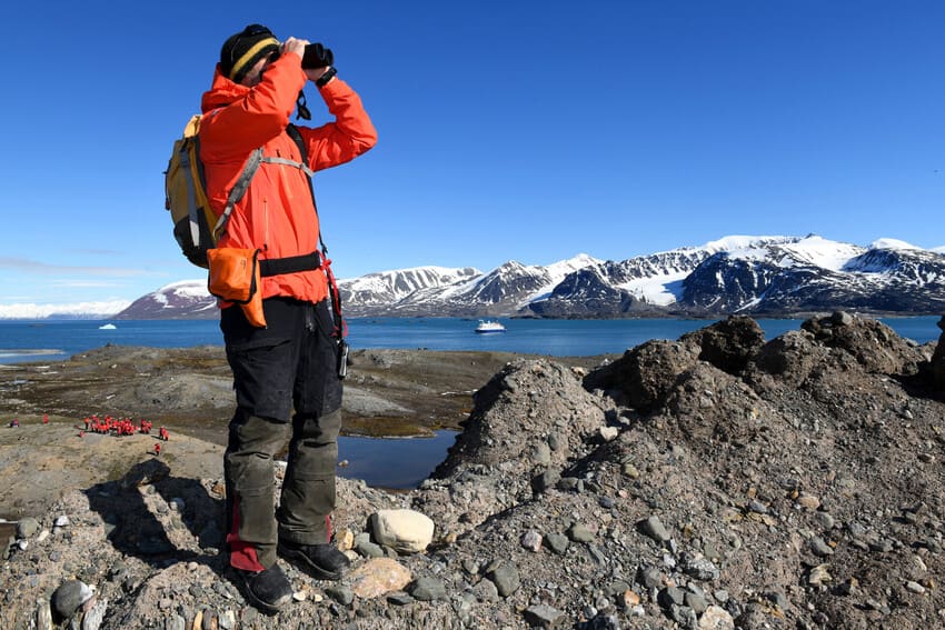 1 Their Unique Style Is the Perfect Adaptation to Their Northern Habitat