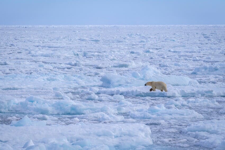 Who owns the Northwest and Northeast Passages?